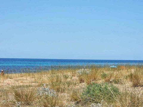 playa 2